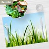 'Table Set I – Spring Placemats Grass Blue Sky With