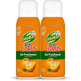OdoBan Real Citrus Air Freshener, Orange (10oz, 2