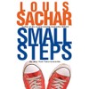 Small Steps (Holes Series, Band 2)