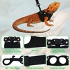 3Size Black Bearded Dragon Leash and Harness Set, Adjustable Bearded