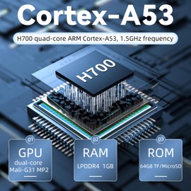 Doriteney RG28XX Retro Video Handheld Game Console Linux OS Game Player 64G TF Card 5500+ Games 3100mAh Battery Compatible with Bluetooth and WIFI(Gray)