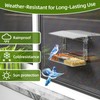 Window Bird Feeder with Strong Suction Cups – Flat-Tile Roof