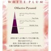 Incense Sticks, Flower Style, White Plum Blossoms
