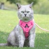 Cat Harness and Leash for Walking Soft Cat Harness Escape