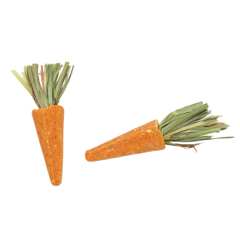 20pcs Carrot Shaped Hamster Toy Teeth Grinding Decorative Crude Fiber