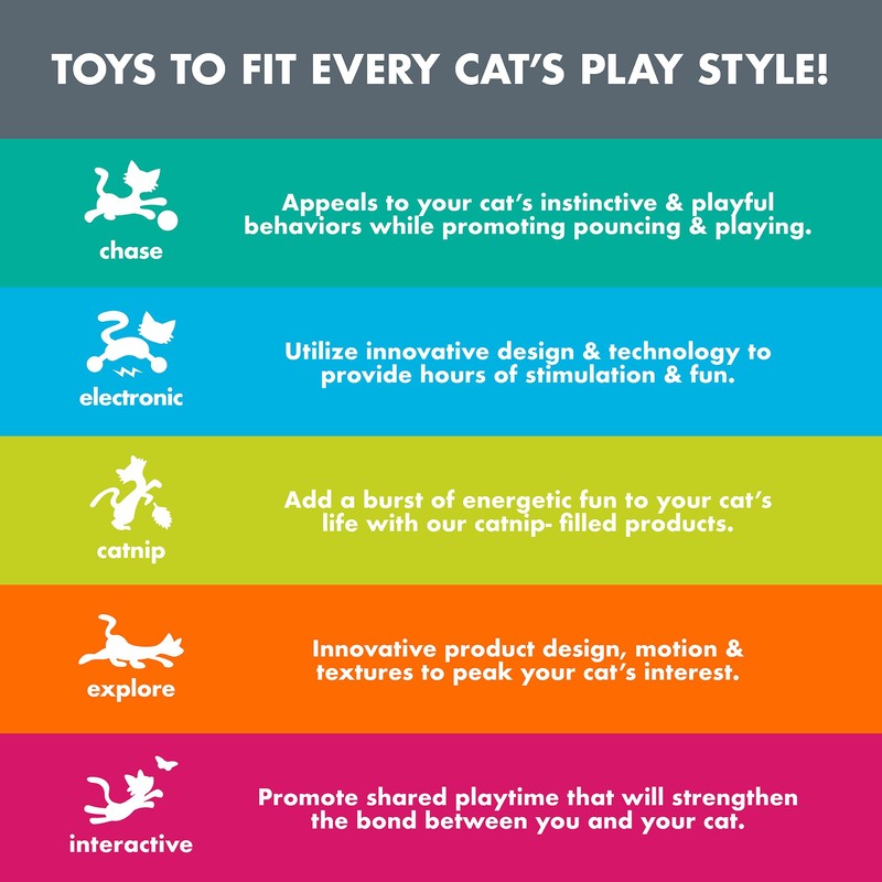 Quirky Kitty Tabby Taqueria Bulk Pack, Catnip and Interactive Toys-
