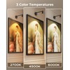 PESUTEN Zoomable Picture Light for Wall, Battery Operated Art Light
