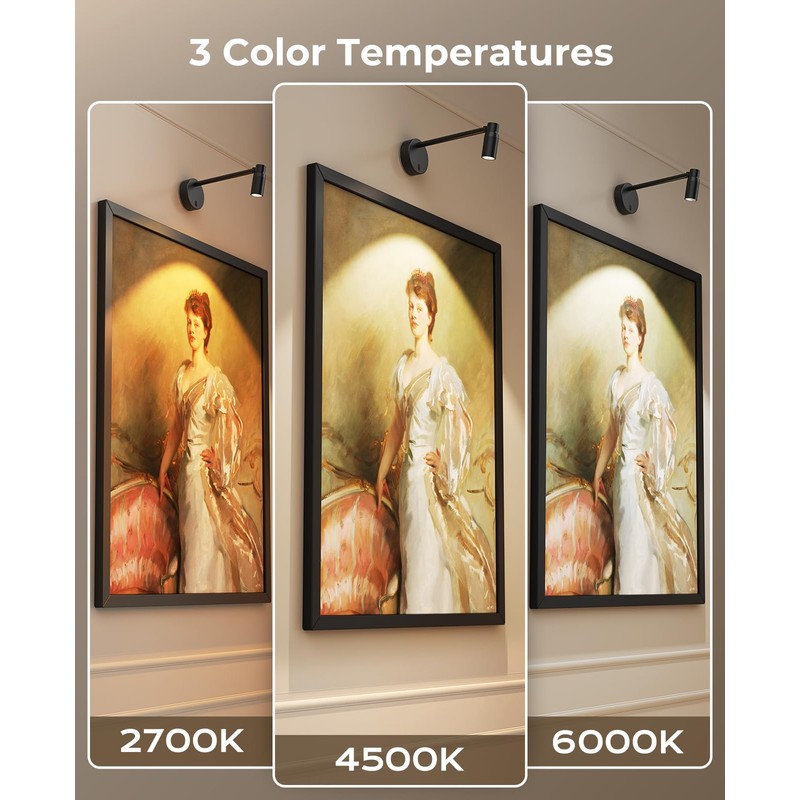 PESUTEN Zoomable Picture Light for Wall, Battery Operated Art Light