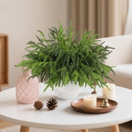 Wsorik 12Pcs Realistic Norfolk Pine Branches -18Inch Artificial Real Touch Christmas Pine Stems Picks Greenery Fake Cedar Pine Branch for Vase DIY Crafts, Xmas Indoor Outdoor Home Decor