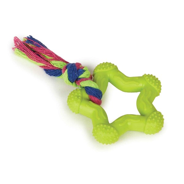 Mini 6" Dog Toys for Small Breeds and Puppies Chew