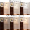 60" Floor Lamps with Remote Control & Bulb, Colors Temperature
