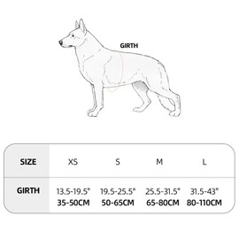 EXCELLENT ELITE SPANKER No Pull Dog Harness Padded Dog Harness Adjustable Nylon Small Dog Harness Walking Dog Harness for Training Running(RGN-M)