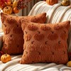 Benjia Autumn 20x20 Cushion Covers Set of 2, Fall Pumpkin