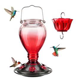 Kingsyard Glass Hummingbird Feeder - 6 Bee Guard Feeding Ports & Ant Moat, 24 oz Leak Proof, Wild Bird Feeder for Outdoors Hanging, Easy to Clean & Refill, Garden Yard Décor, Red & Pink