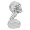 Skull Planter Spine Stand Set Innovative Exquisite Decorative Hand Painted