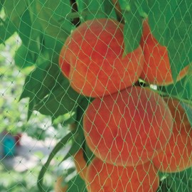 Tenax Ortoflex 5 x 8 m Green Bird Protection Net for Plants, Fruits and Crops, Packed in Net
