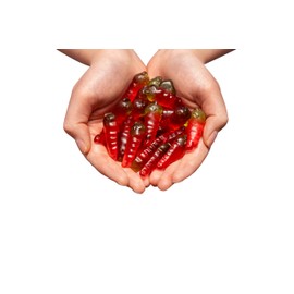 Red Hot Chilli Pepper Gift for Coworkers Friends Joke Party Hot Gluten Free Lactose Free 250g Bag