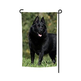 Schipperke Garden Flag, Garden Flag, Schipperke, Schipperke, Schipperke Lover Gift, Dog Flag