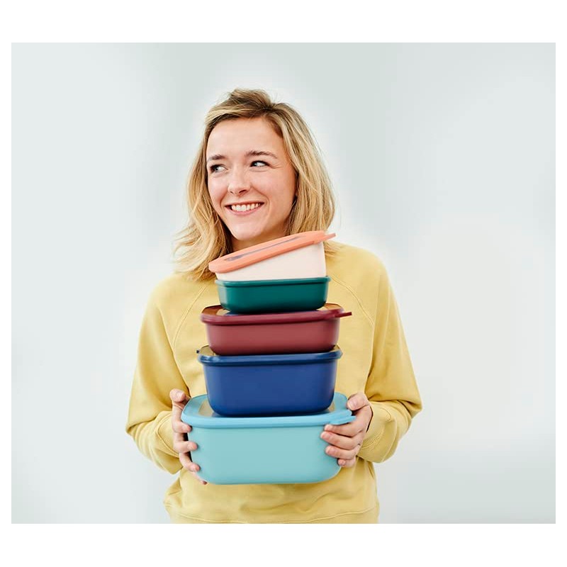 Rosti Mepal 998152 Circular Rectangular Storage Container, 25.5 fl oz