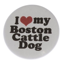 I Love my Boston Cattle Dog MAGNET (heart) - Puppy Australian Cattle Dog and Boston Terrier