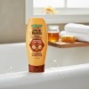 Garnier Whole Blends Shampoo Acondicionador Mieles