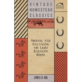 Shoeing And Balancing The Light Harness Horse