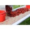 Unbranded crawfish paper Print Kraft Paper (2 ROLLS) lobster boil