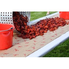 Unbranded crawfish paper Print Kraft Paper (2 ROLLS) lobster boil roll 40" wide x 9' long