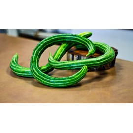 David's Garden Seeds Cucumber Asian Striped Armenian 2317 (Green) 50 Non-GMO, Open Pollinated Seeds