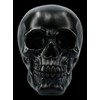 Figuren Shop GmbH Gothic Skull - Matt Black | Fantasy
