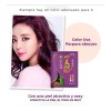 Paquete 10 Piezas Shampoo Tinte Instantaneo 15min Cubre Cana