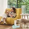 Kitten Starter Kit - 16 Pcs Cat Essentials Set Includes