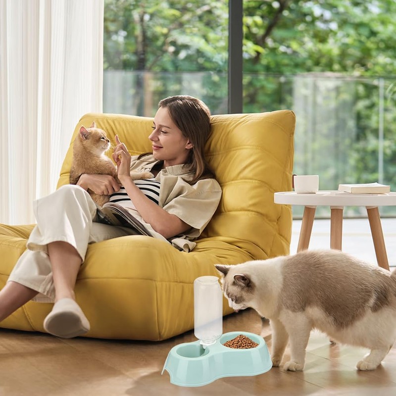 Kitten Starter Kit - 16 Pcs Cat Essentials Set Includes