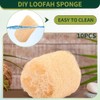 Esponja Luffa Natural, Multusos para baño y Cocina, Exfoliante