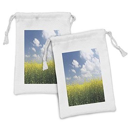 Ambesonne Country Home Fabric Pouch Set of 2, Blooming Rape Field and Clear Sky Clouds Saxony Germany Rustic Eco, Small Drawstring Bag for Toiletries Masks and Favors, 9" x 6", Yellow Green Blue