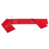 TheraBand Resistance Exercise Band for Heavy Workout/Gym/Yoga and Physical Therapy