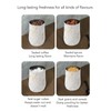 Coffee Bean Canister Airtight Stainless Steel Visible 800ml with Spoon