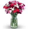 Benchmark Bouquets Mini Carnation Bouquet – Mothers Day Flowers for