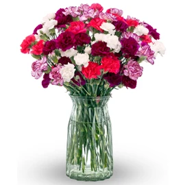 Benchmark Bouquets Mini Carnation Bouquet – Mothers Day Flowers for Delivery – Pink White Purple Mini Flowers – Fresh Floral Arrangement – Gifts for Mom, Birthdays, Get Well – Vase Included (20 Stems)
