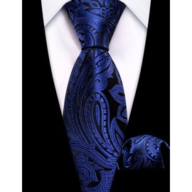 Barry.Wang - Corbata de trineo para niños, corbata de seda regular, tela a rayas, uniformes escolares sólidos, bolsillo cuadrado, boda, fiesta, Azul Real, Talla única