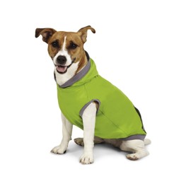Insect Shield Insect Repellant Lightweight Hoodie for Protecting Dogs from Fleas, Ticks, Mosquitoes & More Green 10-Inch
