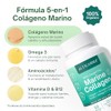 Marine Collagen Peptides Colageno Marino Hidrolizado Puro Vitaminas Cabello Piel