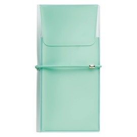 LIHIT LAB Anti-Bacterial PVC Flat Pencil Case, Transparent, Slim ALCLEA, Light Green A7941-19