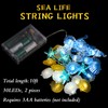 Xuhal 2 Sets Total 20 FT 60 LED Ocean Decor