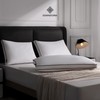 DOWNSTORIA Feather Down Pillows King Size Set of 2 with