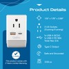 Ceptics 2 Pack European Travel Plug Adapter, US to Europe