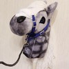 Blue hobby horse halter | Tacks for stick hobby horse