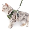 pangdi Cat Harness and Leash Escape Proof Extra Large Kitten