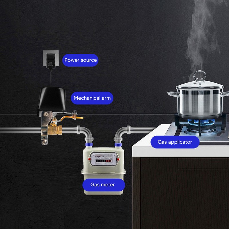 Natural Gas Detector Propane Leak Alarm Electric Smart Valve Controller