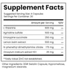 B4 v2 Capsules - 20 Servings - Natural Social Nootropic